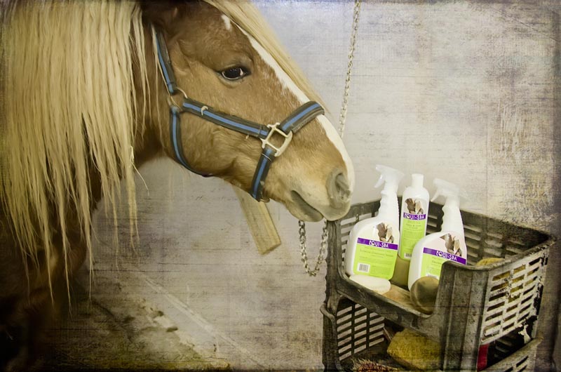 Equi-Spa - Grooming
