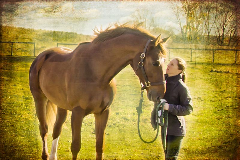 EquiSpa About